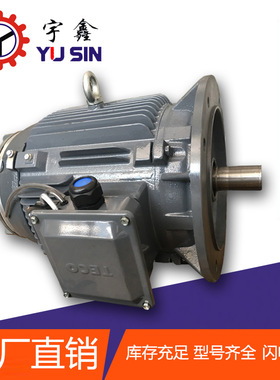 广东厂家直供立式电机 AEVFF1500-3700W4级三相异步电动机马达