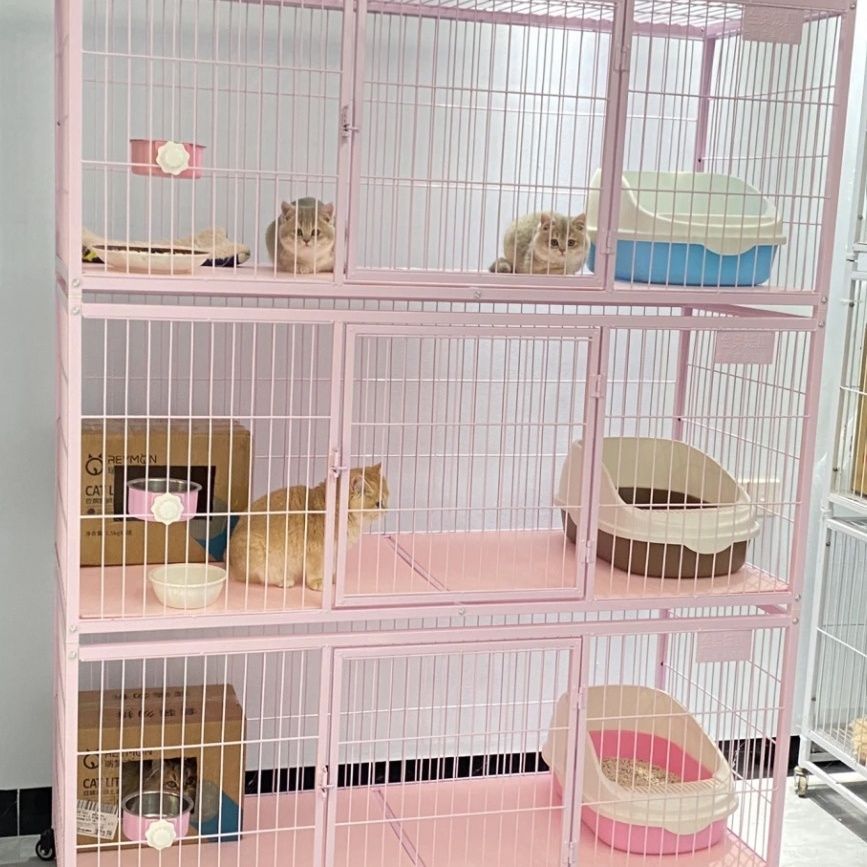 金奥猫笼子家用超大自由