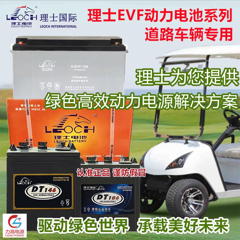 理士蓄电池6-EVF-100/12V100AH85A动力DT106/6V225叉车扫地机电瓶