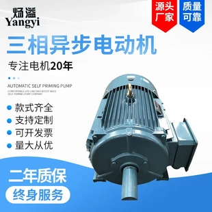 18.5kw三相異步電動(dòng)機(jī) 廠家直供YE3 馬達(dá)全銅線圈B5 225S YE3