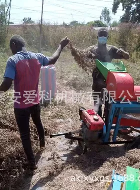非洲家用玉米脱粒机柴电两用谷子高粱打粒机空心菜菜籽打粒机新款