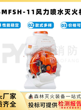6MFSH-11风力喷水灭火机两冲程风力灭火器背负式救援风冷灭火机