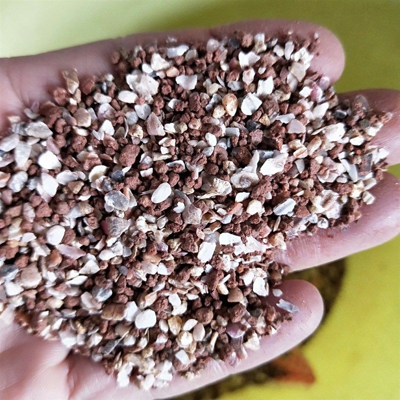 保健砂沙子鹦鹉营养红土补钙鸽子饲料鸽粮赛鸽点子元宝观赏鸽,宠物/宠物食品及用品,鸟食,淘宝优惠券,粉丝福利购,淘宝优惠卷