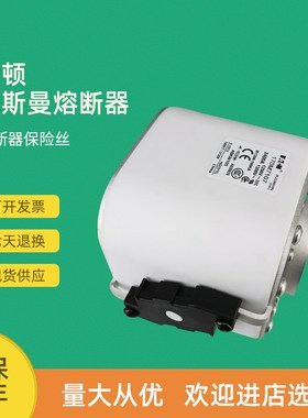 全新快速熔断器保险170M7106 170M7107 170M7115 170M7118