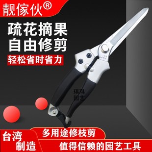 靓家f伙剪枝剪刀加长月季 台湾原装 家用园艺果树盆栽园林修花修枝