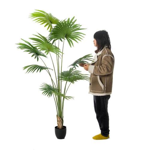 2米仿真植物绿植盆栽棕榈树加州蒲葵扇葵圆葵热带雨林装饰假树