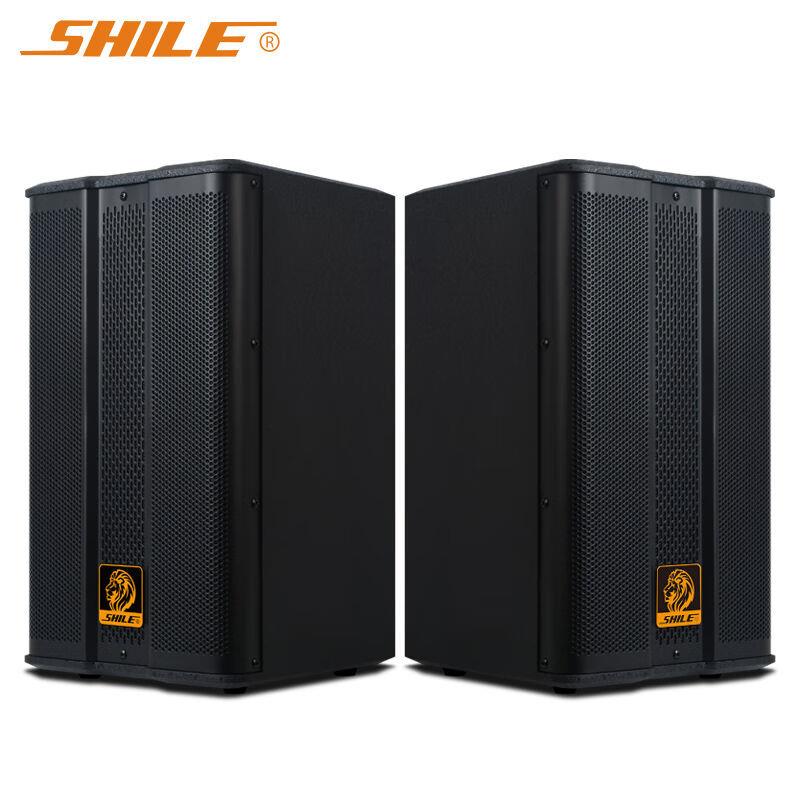 狮乐BX-503会议音响8英寸壁挂音箱舞蹈培训教室会议室家用卡拉OK