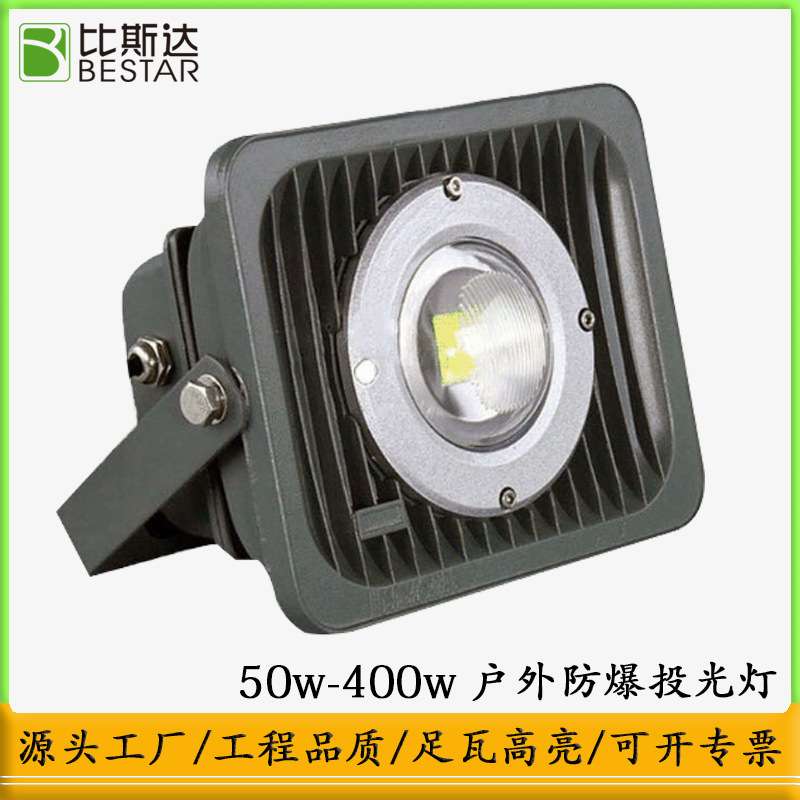 LED防爆投光灯隧道仓库车间投光灯工地照明防爆50W100W300W泛光灯