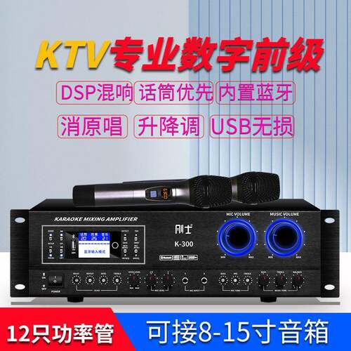 刚士专业KTV2.0AV功放机卡拉OK大功率HIFI功放家用会议重低音