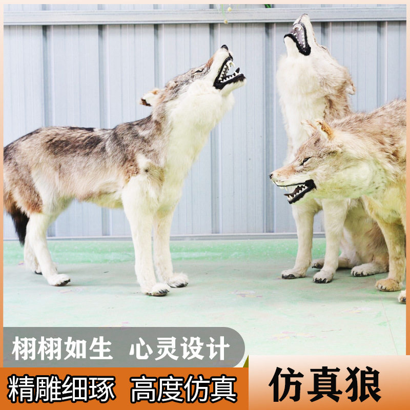 仿真狼模型摆件仿真兔皮动物小狼毛绒玩具假狼工艺品