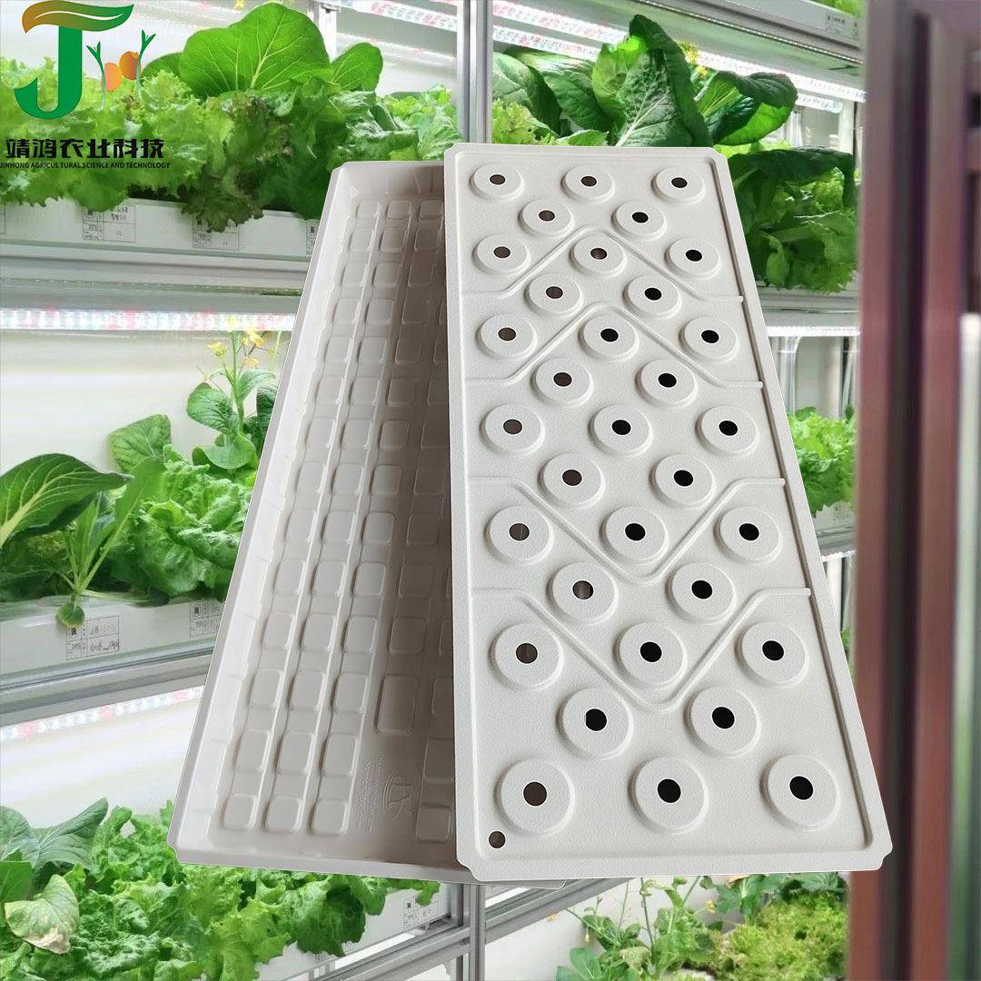 33大孔植物种植托盘水培托盘白色育苗盆室内温室大棚塑料花盆