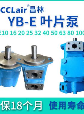 YB-E10液压6.3油泵12叶片泵1620YB-E2532YBE40506380100