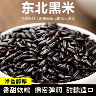 当季新米东北农家新黑米无染色黑大米健康粗粮软糯丝滑浓浓米香
