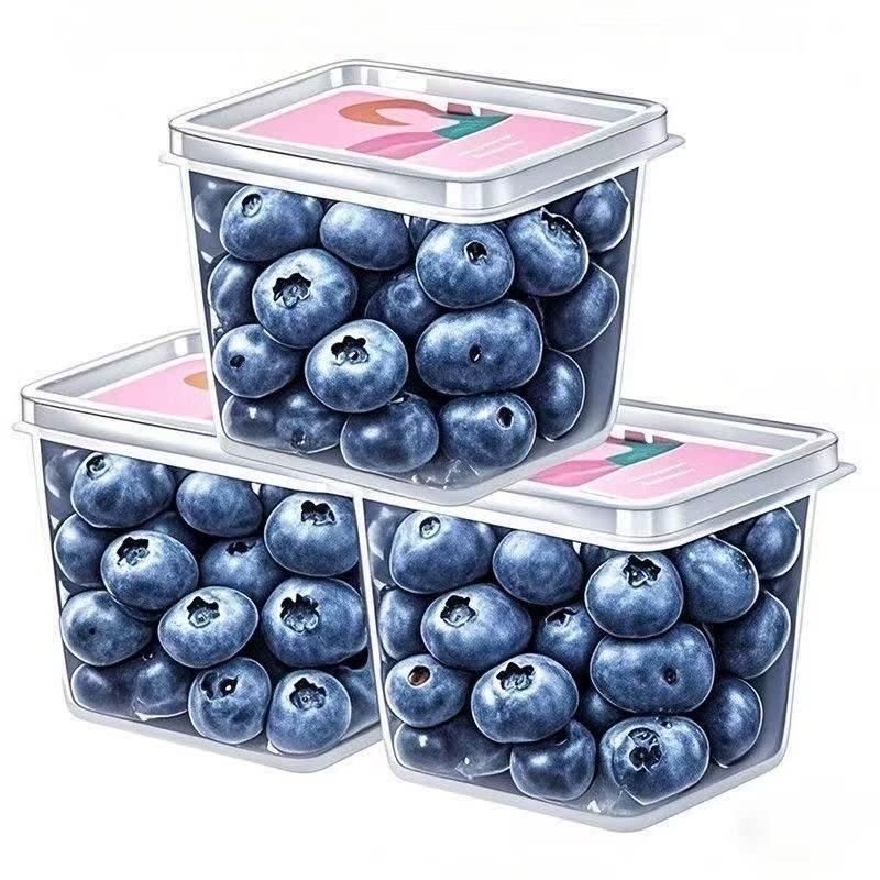 【25新货一斤装长白山野生蓝梅特干级新鲜蓝莓干孕妇一级批发