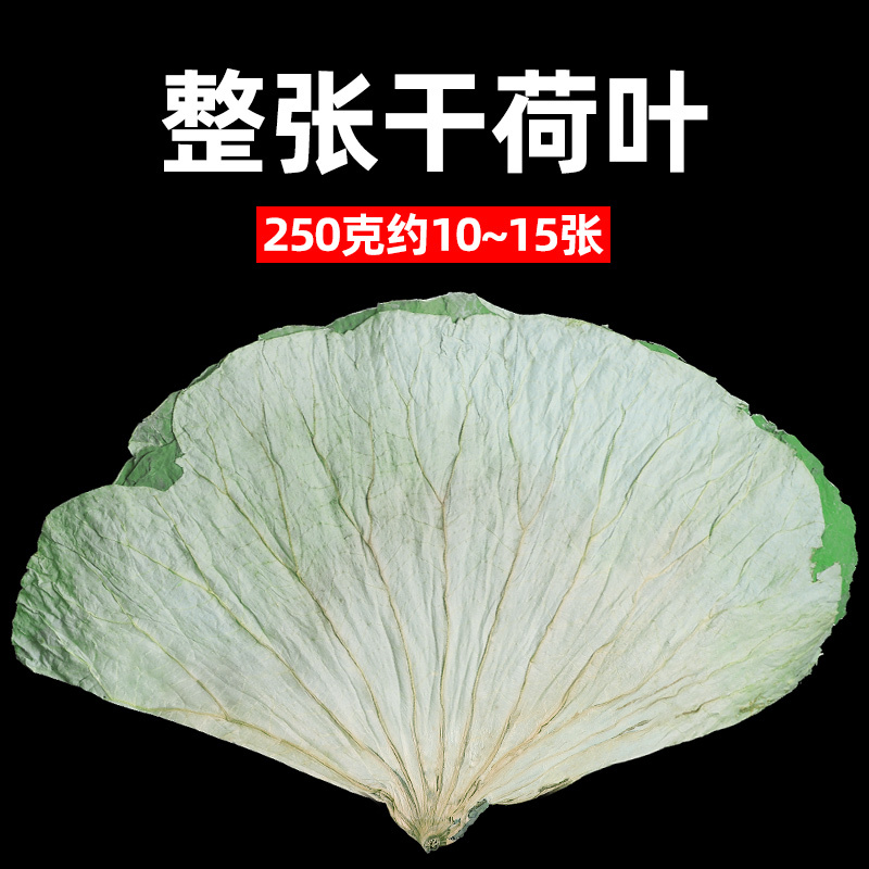 荷叶整张新鲜正品糯米鸡专用叫花鸡黄泥大何叶片熬粥的干荷叶批发