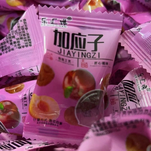 独立包装加应子500g酸甜李子干蜂蜜嘉应子李干蜜饯话梅250g