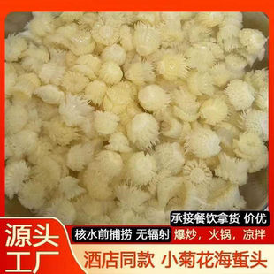 正宗小菊花海蜇头高端酒店会所非即食海蜇花凉拌食用水母400g商用