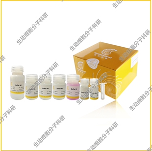 无内毒素质粒小提中量试剂盒 适用于细胞转染及其他常规质粒实验