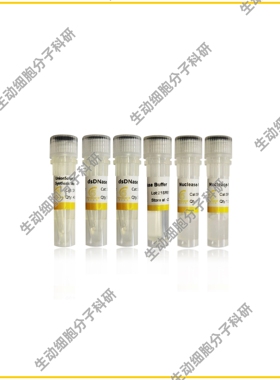 用于qPCR的UnionScript第一链cDNA合成混合物(含dsDNase) 预混液