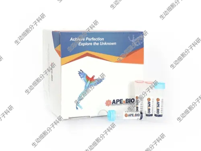 APExBIO RNase R(20U/μL)核糖核酸酶R(RNase R) 用于消化线性RNA