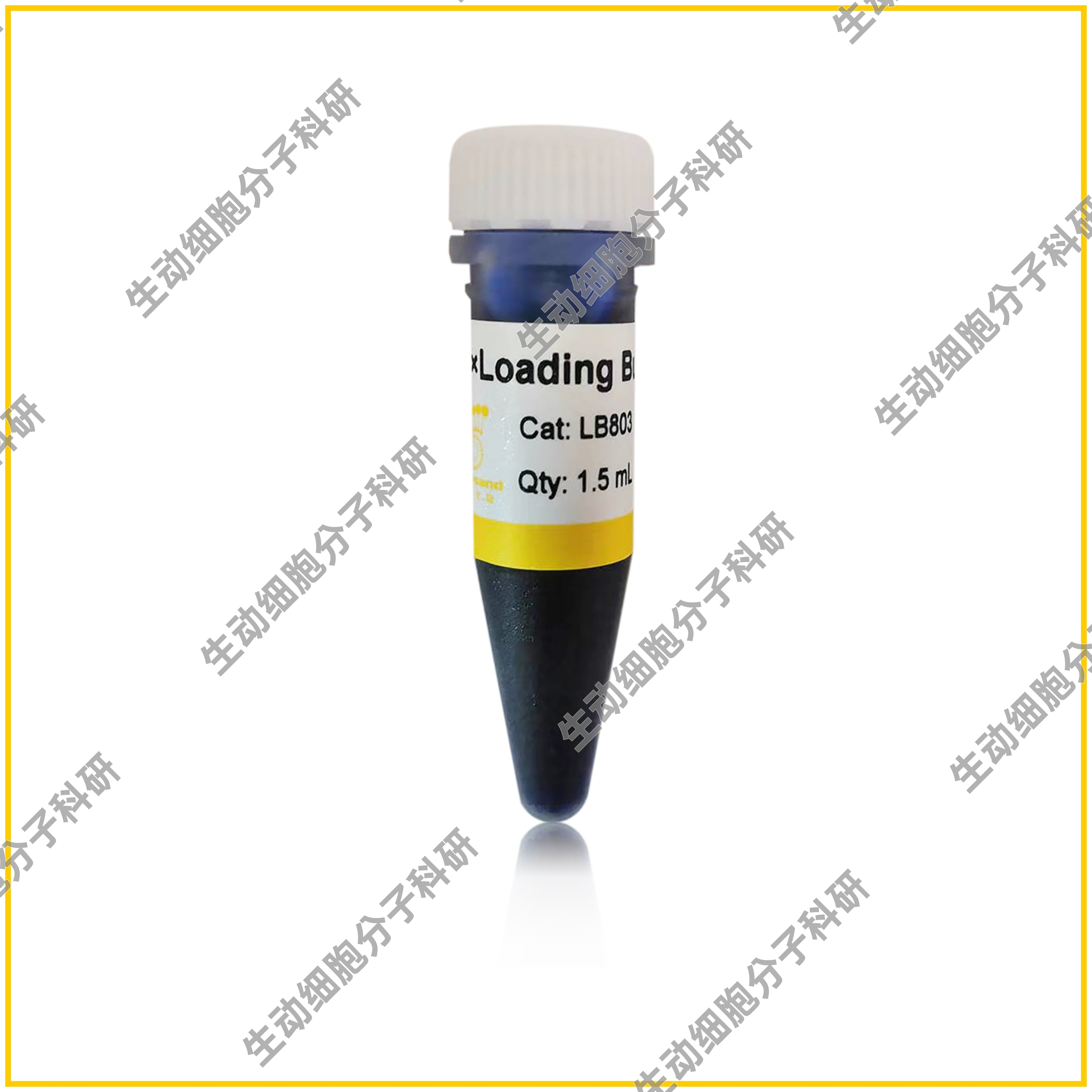 6×Loading Buffer电泳上样缓冲液 用于DNA凝胶电泳 双色指示条带图片