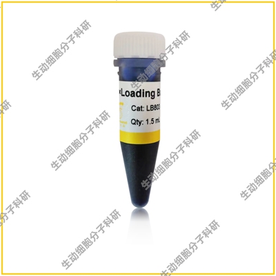 6×Loading Buffer电泳上样缓冲液 用于DNA凝胶电泳 双色指示条带