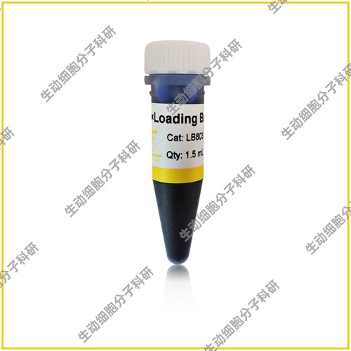 6×Loading Buffer电泳上样缓冲液 用于DNA凝胶电泳 双色指示条带