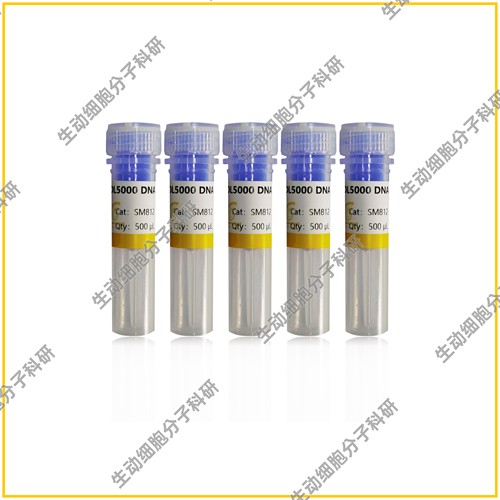 DL5000 DNA Marker独特研发技术 不易降解 条带大小精准带型清晰