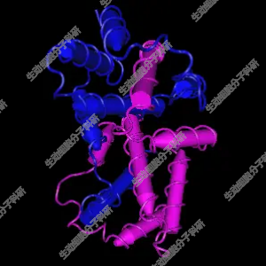 APExBIO IFN-gamma，重组小鼠IFN-γ，促炎细胞因子 适用细胞培养