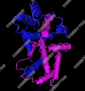 APExBIO IFN-gamma，重组小鼠IFN-γ，促炎细胞因子 适用细胞培养