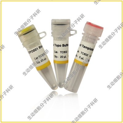 pTOPO001 Blunt Simple CloningKit基于拓扑异构酶快速克隆试剂盒
