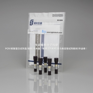 SYBRPrime qPCR Set改良SYBR Green I染料,最低4拷贝30个循环出峰