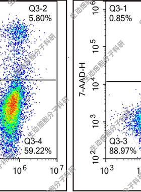 Annexin V-APC/7-AAD凋亡检测试剂盒，检测悬浮/贴壁细胞凋亡情况