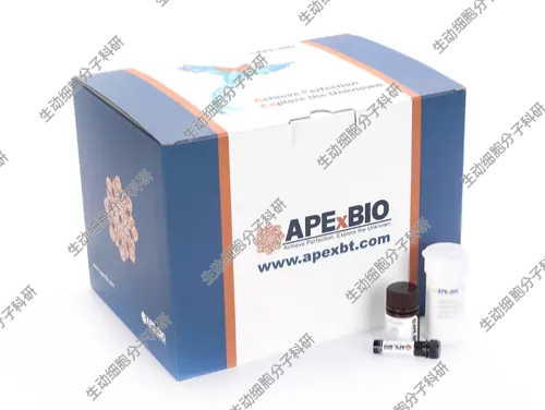 APExBIO Cell Counting Kit-8 (CCK-8)用于细胞增殖/细胞毒性试验