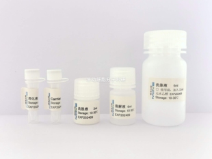 BIOG外泌体miRNA提取试剂盒用于血清/血浆/唾液等外泌体miRNA提取