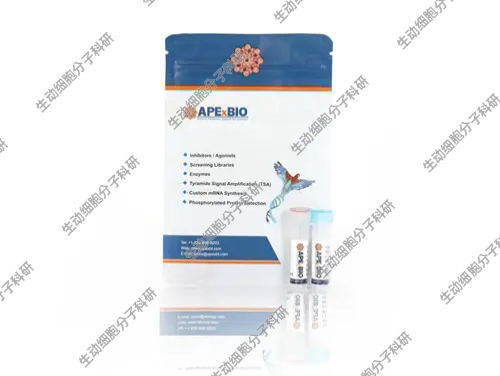 APExBIO热稳定的逆转录酶HyperScript™ReverseTranscriptase热卖