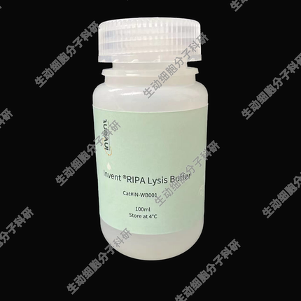 Invent®RIPA裂解液IN-WB001用于从哺乳动物细胞组织中提取蛋白质