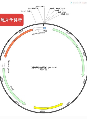 真菌/细菌载体，pGABAi，酵母单杂交载体、与 pGAD-T7 配合使用
