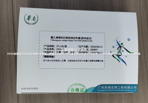 仅供科研,基孔肯雅热抗原检测-IgG/IgM抗体检测试剂盒,胶体金法