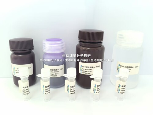 BIOG PAGE彩色凝胶快速配制系列6%8%10% 12% 15%PAGE凝胶快速配制