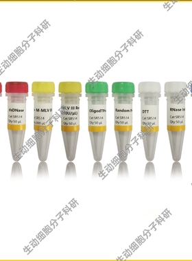 UnionScript第一链cDNA合成试剂盒 含dsDNase 用于第一链cDNA合成