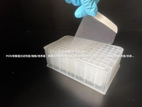 BEEBIO透气封板膜，143mm*80mm，100片/盒，高性价比，PCR封板膜