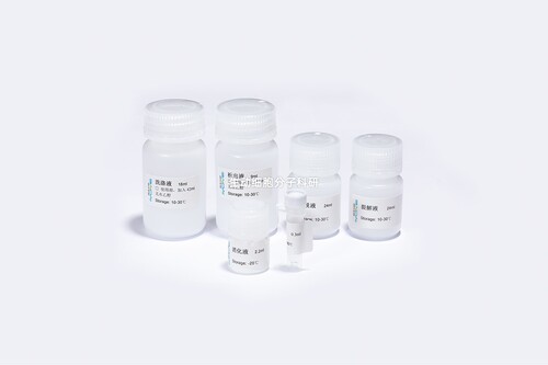 BIOG干血斑DNA提取试剂盒，从干血斑中高效提取高质量的基因组DNA