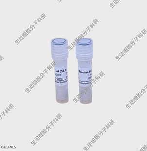BOLAZ NLS-Cas9 Nuclease,NLS-Cas9-NLS核酸酶,适用基因敲除/科研