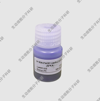 BOLAZ 5×SDS-PAGE上样缓冲液 5×SDS-PAGE Loading Buffer无气味