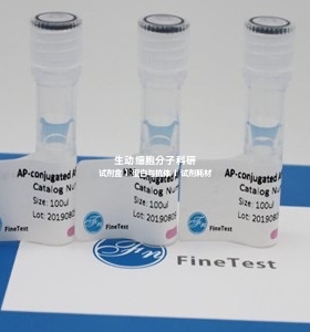 FineTest 一抗  流式抗体 FITC-大鼠IgG2b，κ 同型对照（LTF-2）