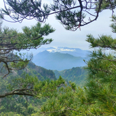 这是一家感情店一分钱素材124