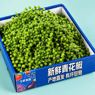 【青花椒】四川新鲜青花椒真空保鲜特麻生花椒江津现摘麻椒鲜藤椒