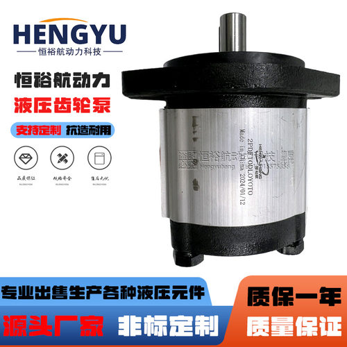 恒裕航液压泵2PDF10DL0Y0T0油泵HPI齿轮泵P1AAN2010HL20C02泵高压