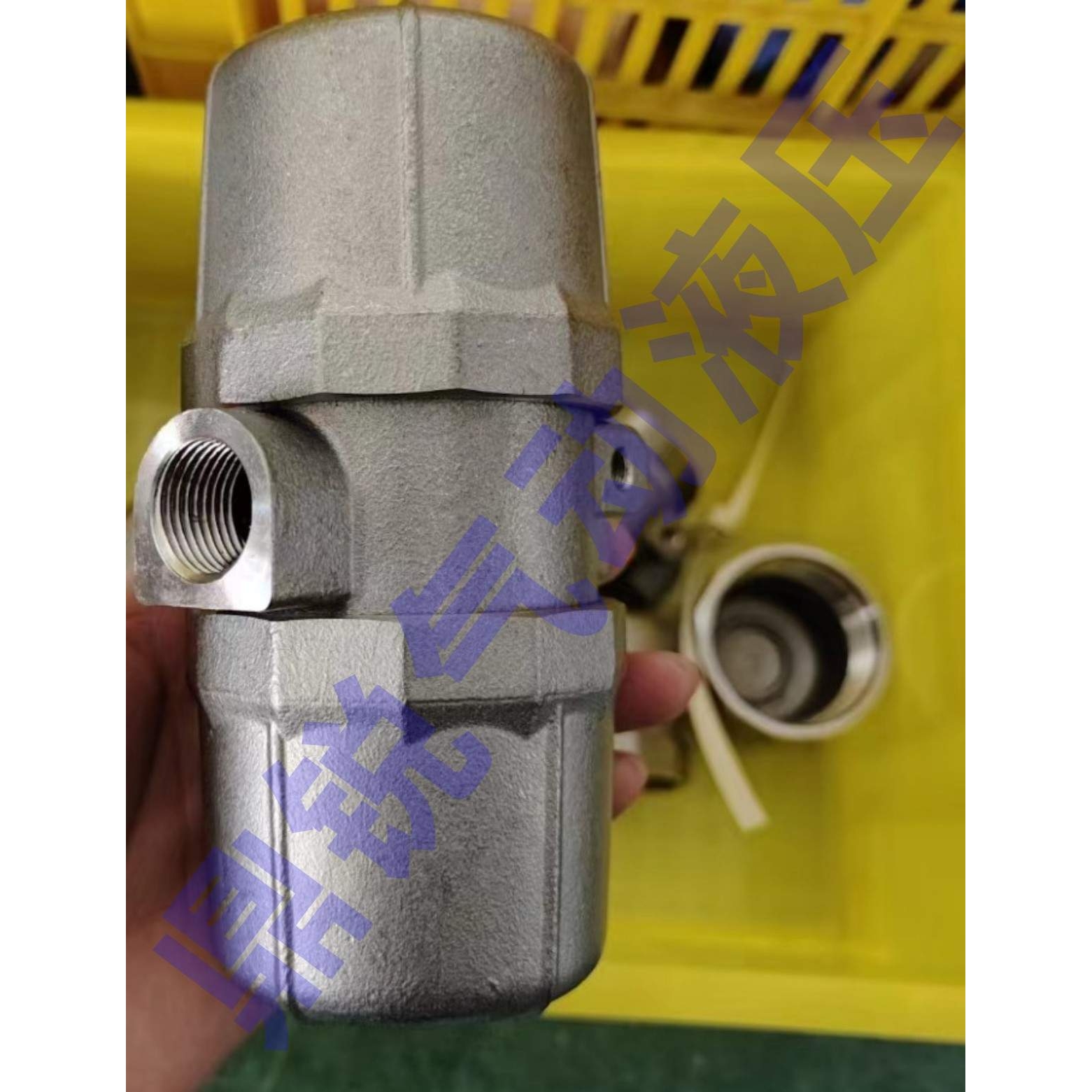 304不锈钢自动排水器 不锈钢排水器 30公斤压力排水器 ZDPS-15